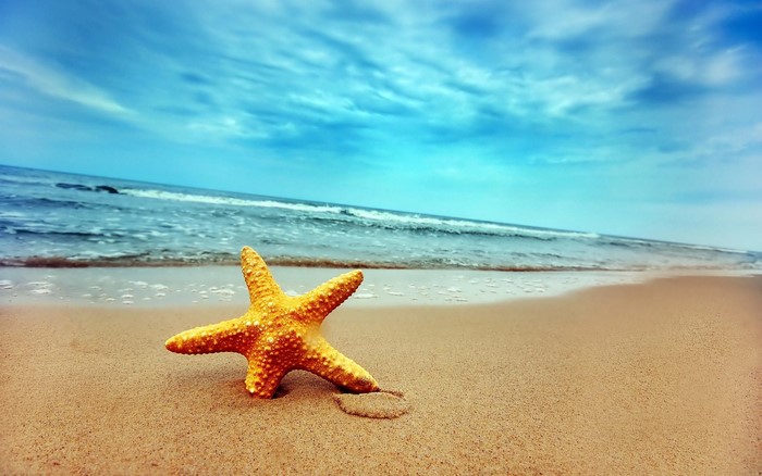 Starfish on a sandy beach with ocean waves