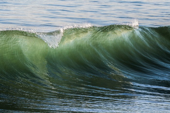 Green ocean wave curling with white foam