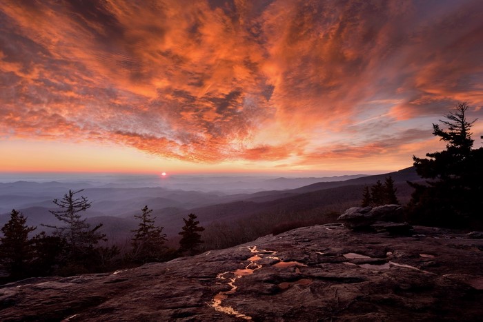 Mountain range at sunset with pink clouds and pine trees