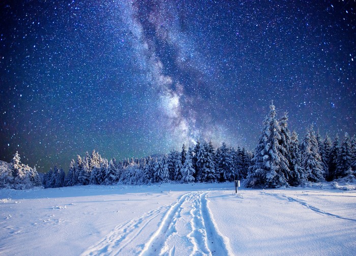 Snowy landscape with Milky Way and pine trees