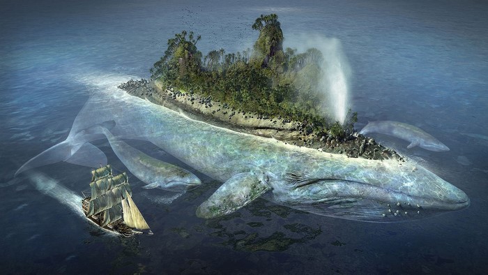 Fantasy Island on the Back of a Giant Whale