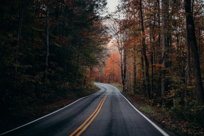 Winding road through an autumn forest with colorful trees