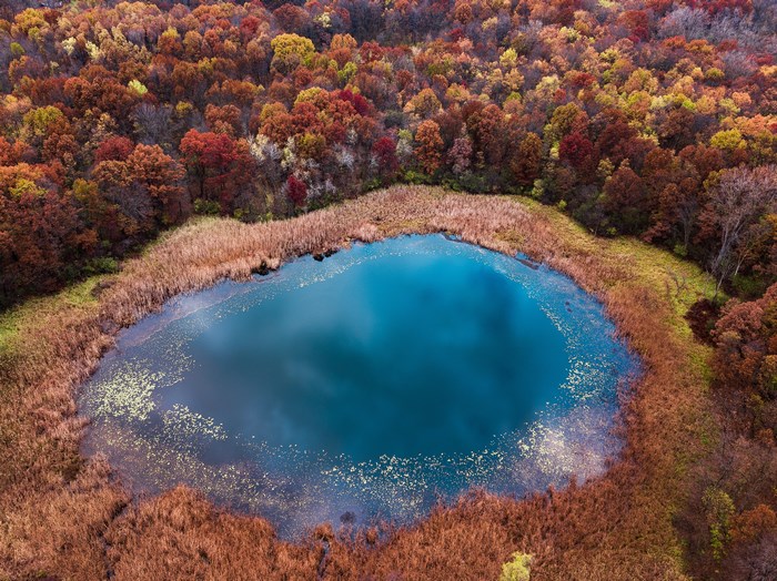 Aerial view of a pond surrounded by autumn forest