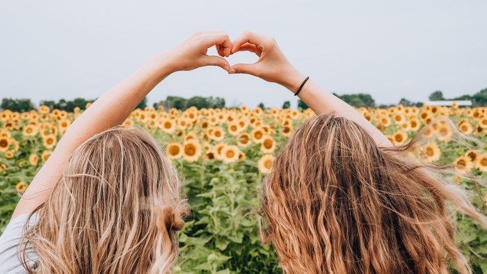 Two Friends Making Heart Shape in Sunflower Field