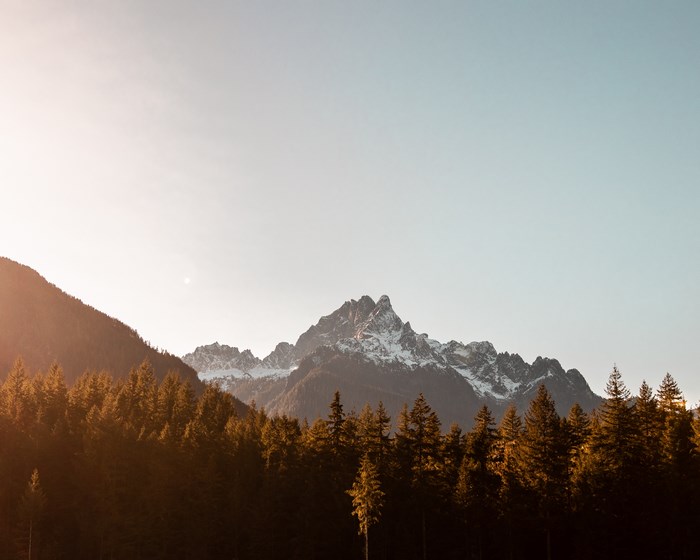 Snow-capped mountain range behind a forest