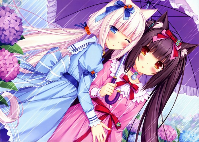 Chocolat and Vanilla from Nekopara under an umbrella