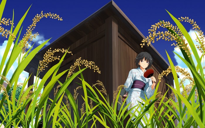 Anime girl in kimono holding a fan in a rice field