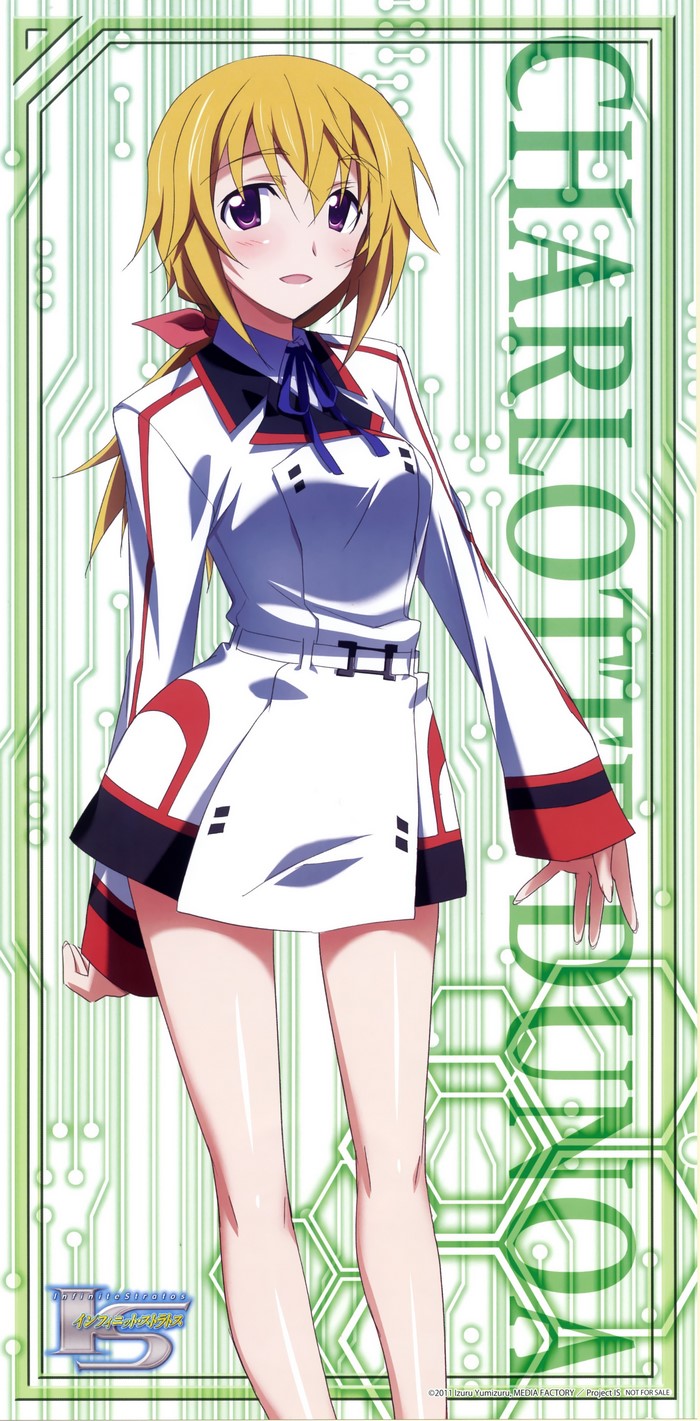 Charlotte Dunois from Infinite Stratos