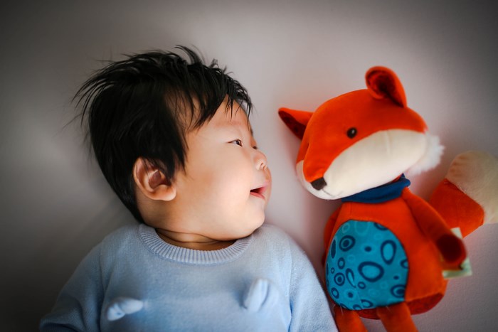 Baby looking at a stuffed fox toy