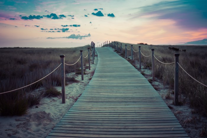 Wooden boardwalk through grassy dunes at sunset