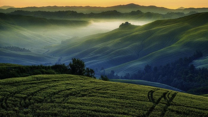 Rolling hills with mist at sunset