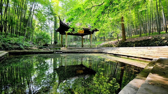 Gazebo reflected in a pond surrounded by bamboo forest