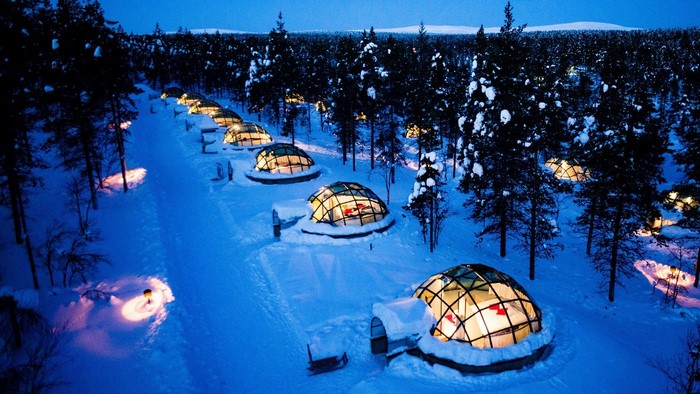 Glass igloos in a snowy forest at night