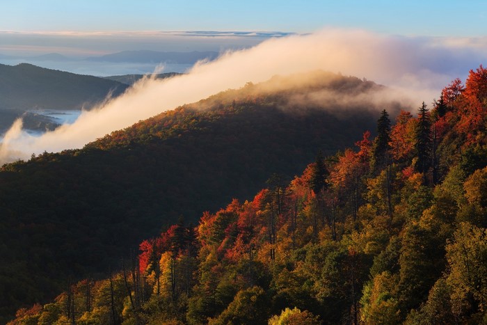 Autumn mountain forest with fog at sunrise