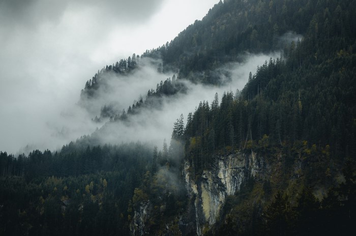 5794x3844 rocky, mountains, dense mist, tree, alpine, forest, adventure ...