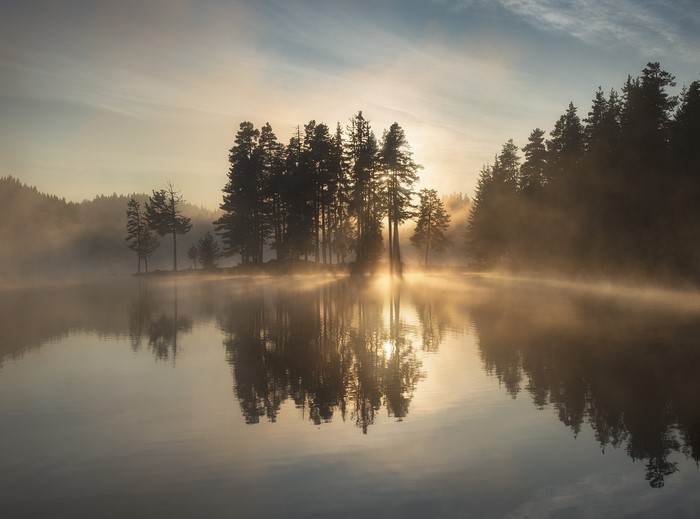 Misty lake with trees at sunrise