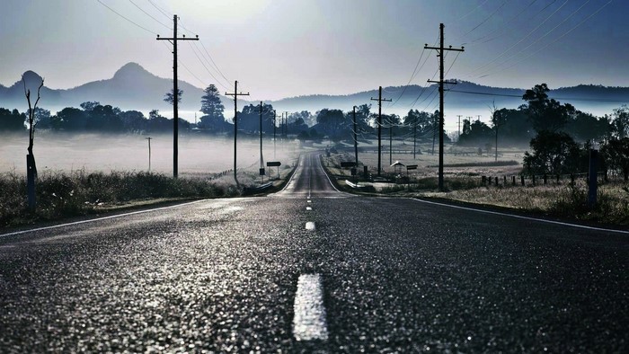 Road through misty landscape with power lines