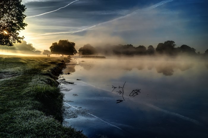 Misty lake at sunrise with trees and grass