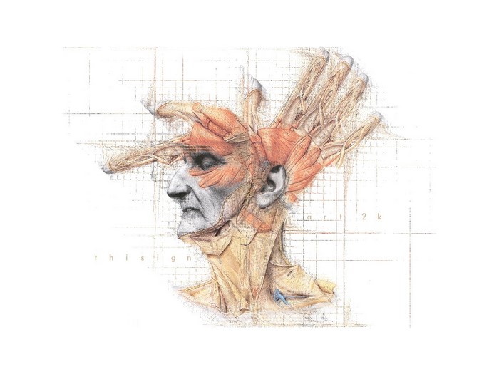 Anatomical illustration of a human head with hands