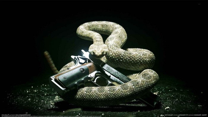 Hitman Absolution Snake and Gun