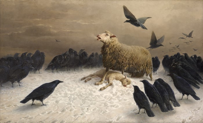 The Attack of the Crows by Albrecht Schenck