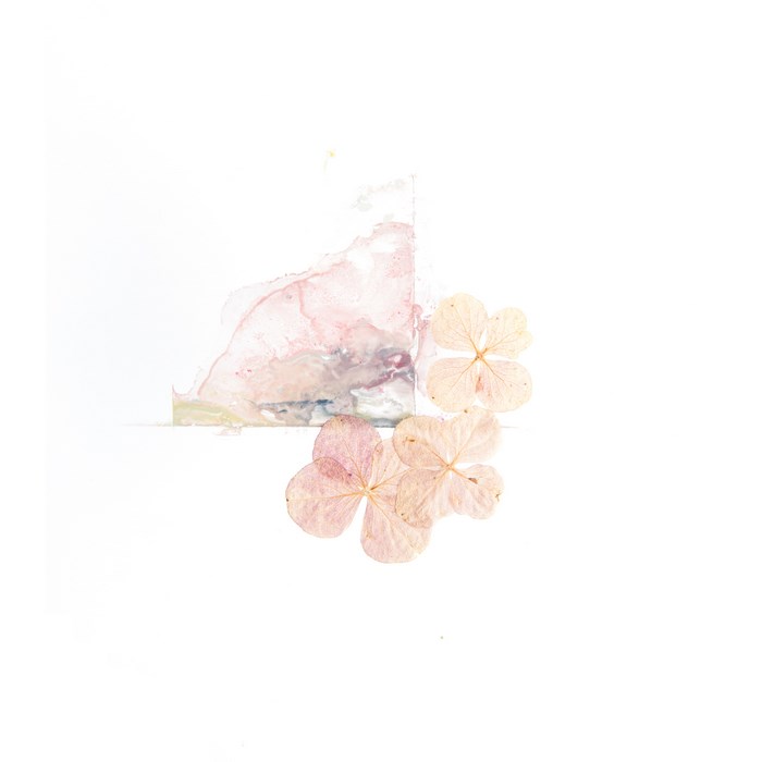 Abstract painting with pressed hydrangeas