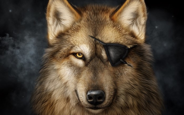 Wolf with an eyepatch and yellow eyes
