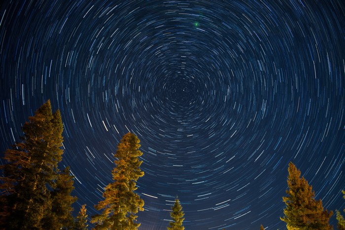 Star trails over trees at night
