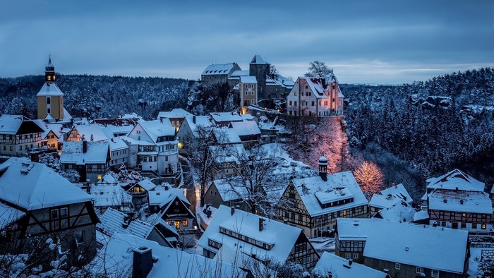 Snowy village with castle and forest