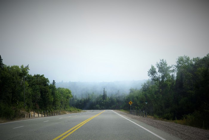 Road through a foggy forest in Canada
