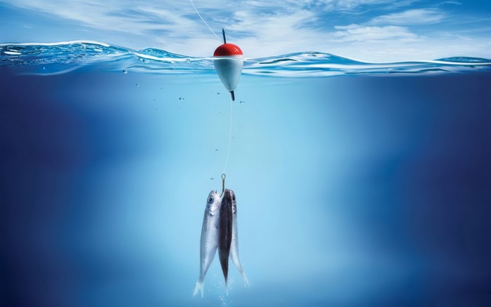 Fishing float with two fish on a hook underwater