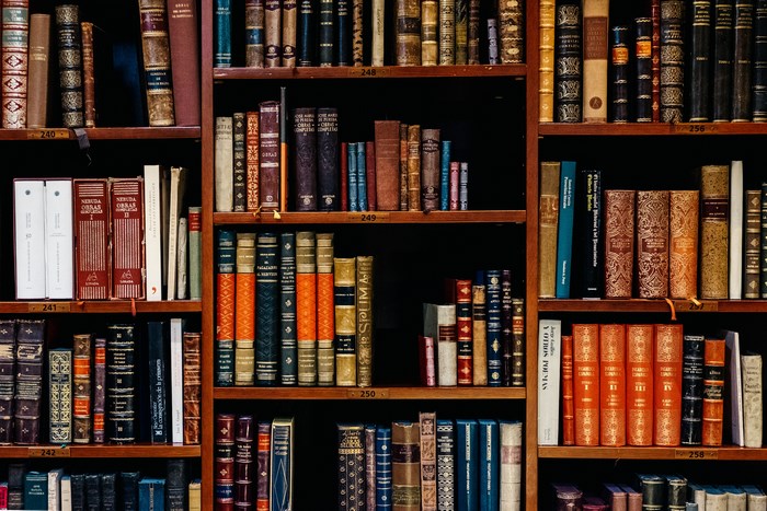 Vintage Library Books on Wooden Shelves