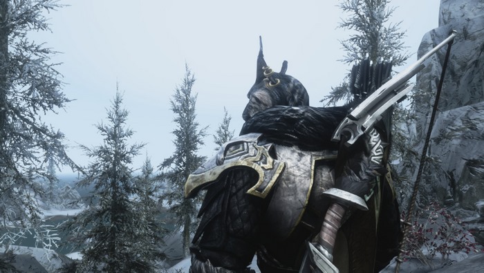 Khajiit from The Elder Scrolls V Skyrim