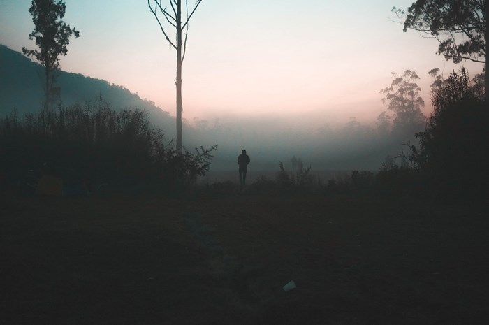 Person standing in misty forest at sunrise