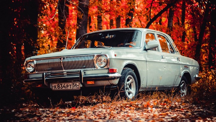 Vintage Gaz 24 Volga Car in Autumn Forest