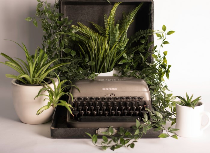 Remington typewriter surrounded by houseplants in a studio