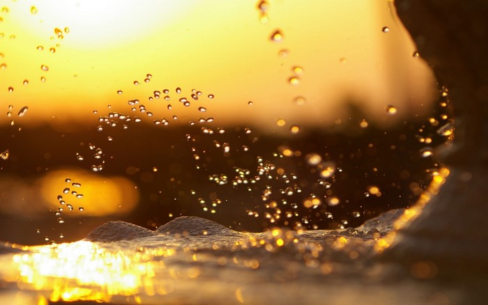 Water drops in sunlight with bokeh effect