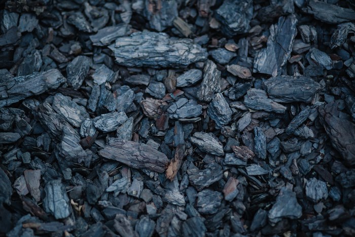 Dark Wood Bark Texture Close-up
