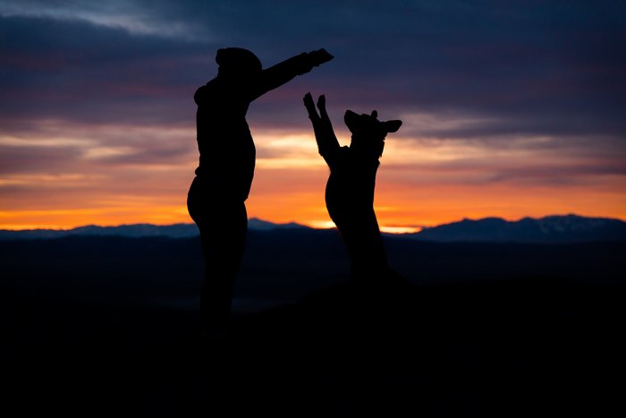 Silhouette of a person and dog at sunset