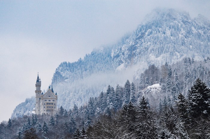 Neuschwanstein Castle in a Snowy Mountain Forest