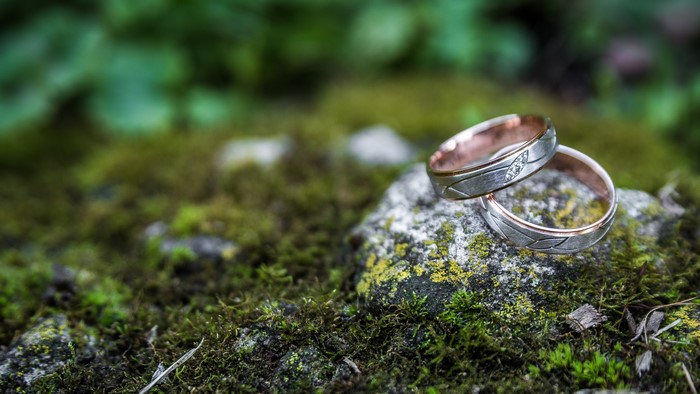 Wedding rings on mossy rock