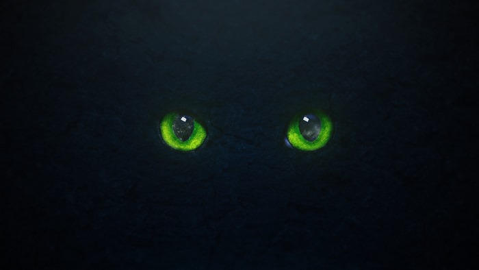 Green Cat Eyes in Darkness