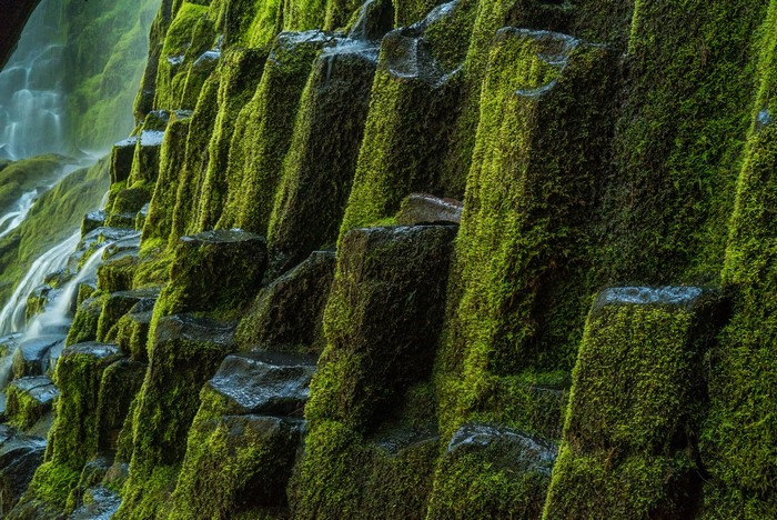 Moss-covered basalt columns with a waterfall