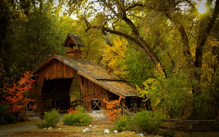 Wooden barn in a forest during autumn