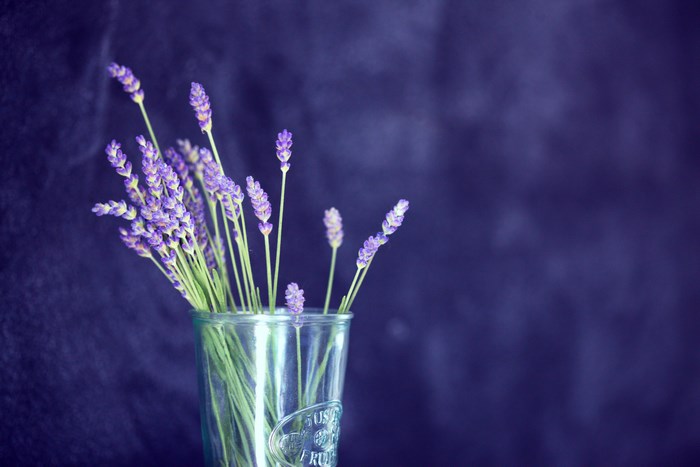 Lavender flowers in a glass vase on a dark background