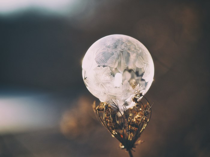 Frozen bubble on Queen Anne's Lace