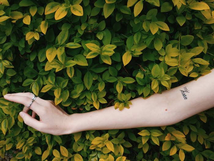 Woman's arm with tattoo against green leaves