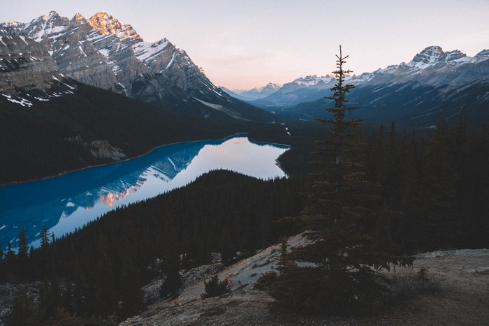 Blue lake reflecting snow-capped mountains and pine forest