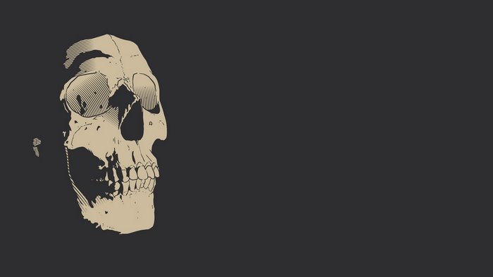 Skull illustration on dark background