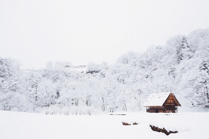 Wooden cabin in a snowy forest during winter
